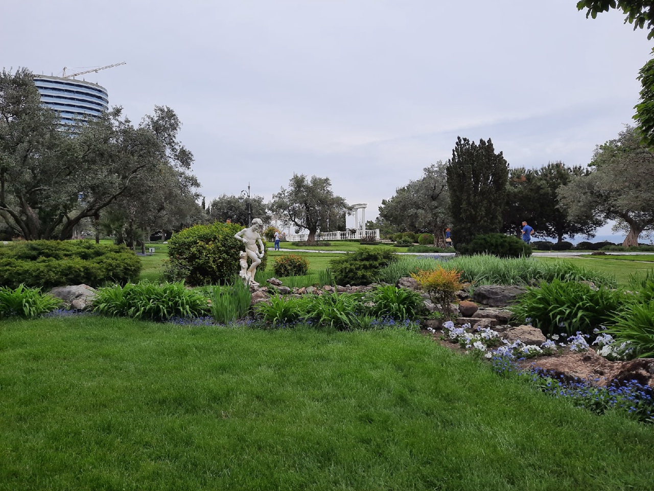 оливковая роща парк Айвазовского фото